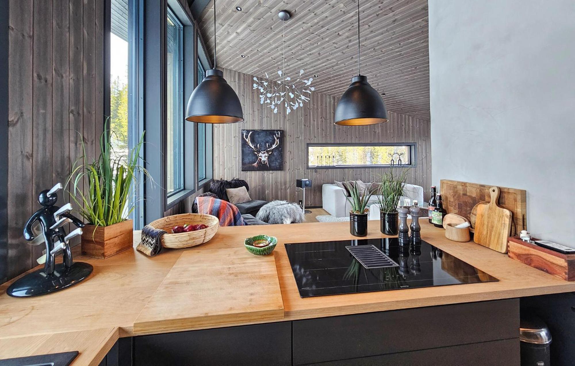 Awesome Home In Rjukan With Sauna Exterior photo